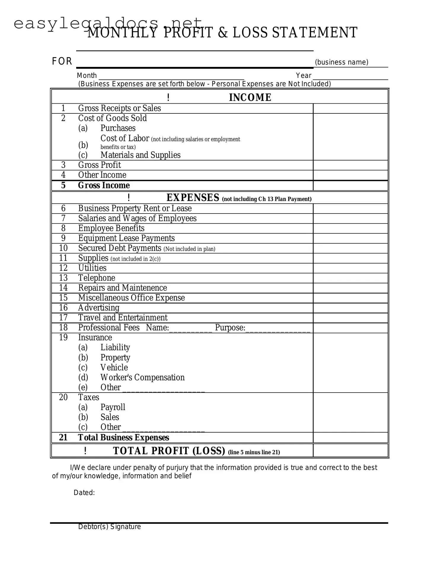 Download Profit And Loss Form