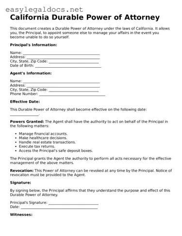 Blank  Durable Power of Attorney Form for California