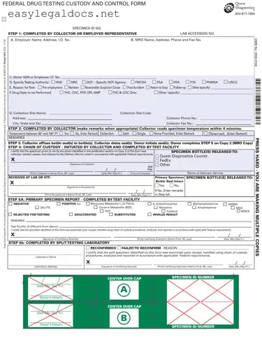 Download Drug Screen Form