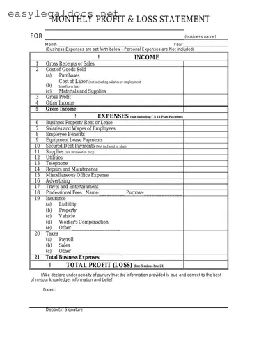 Download Profit And Loss Form