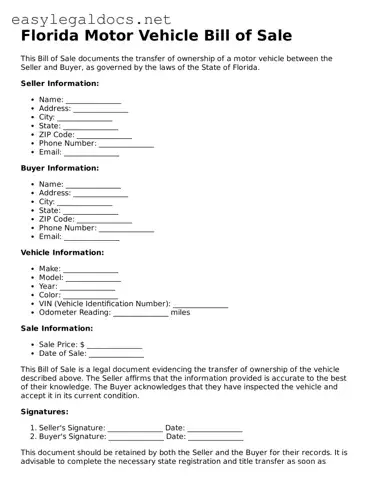 Blank  Motor Vehicle Bill of Sale Form for Florida