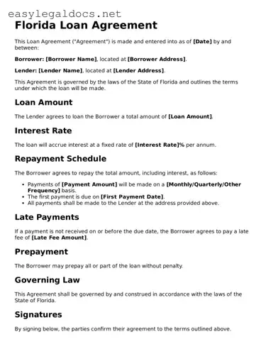 Blank  Loan Agreement Form for Florida