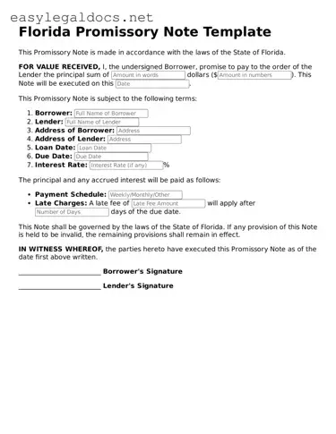 Blank  Promissory Note Form for Florida