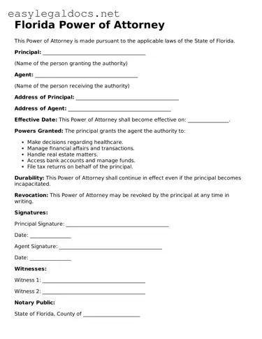 Blank  Power of Attorney Form for Florida