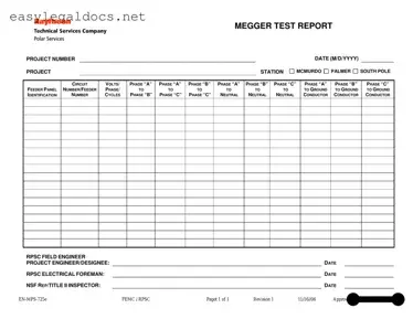 Download Megger Test Form