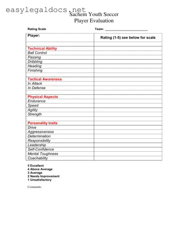 Download Soccer Player Evaluation Form