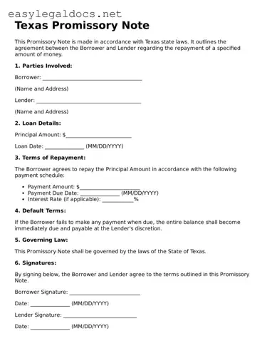 Blank  Promissory Note Form for Texas