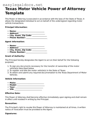 Blank  Motor Vehicle Power of Attorney Form for Texas