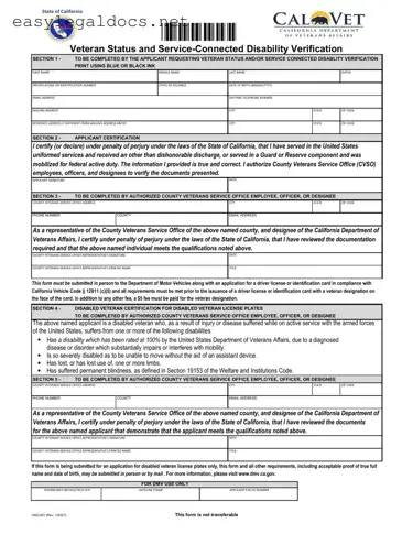Download Vsd 001 Form